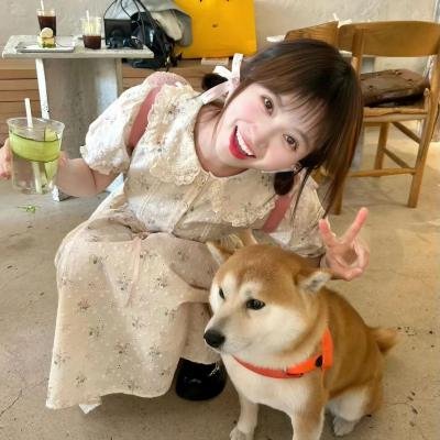 续·社长漫游记